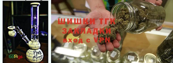 тгк Весьегонск