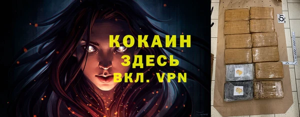 тгк Весьегонск