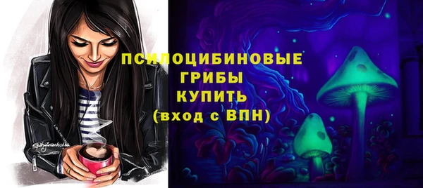 бошки Пролетарск